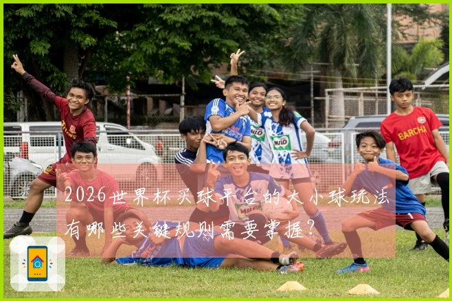 2026世界杯买球平台的大小球玩法有哪些关键规则需要掌握？