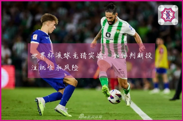 世界杯滚球竞猜实战：如何判断投注机会和风险
